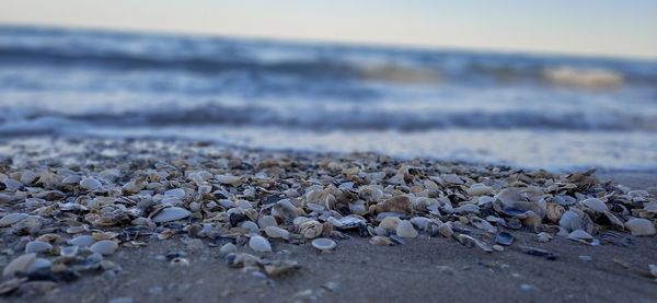 Surface level of stones on beach against sky