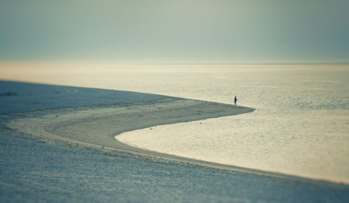 Distant view of man standing at beach against clear sky