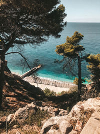 High angle view of trees by sea against sky