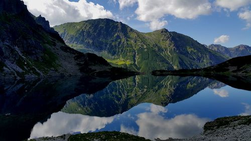 Reflection of trees in calm lake
