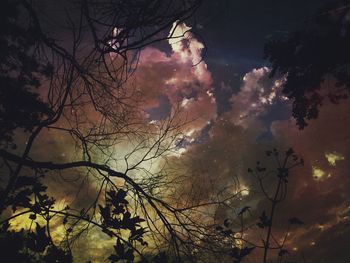 Low angle view of bare trees against sky