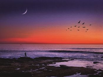 Silhouette birds flying over sea against sky at sunset