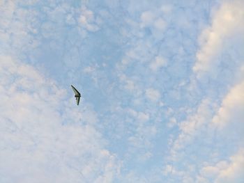 Low angle view of bird flying against sky