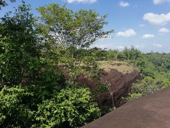 Scenic view of road amidst trees against sky