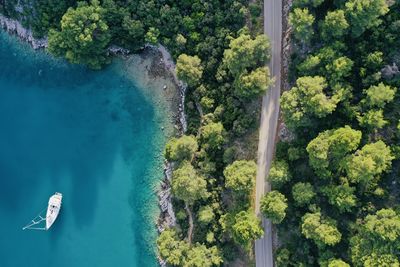 Aerial view of rod amidst trees by lake