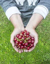 Close-up of hand holding strawberry