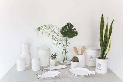 Potted plants and ceramics on table at home