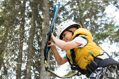 Man holding camera while sitting on tree in forest