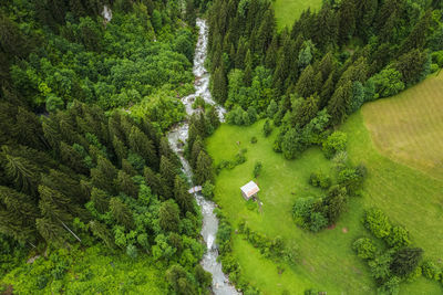 High angle view of stream amidst trees in forest