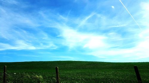 Scenic view of field against blue sky