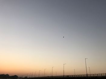 Birds flying against sky during sunset