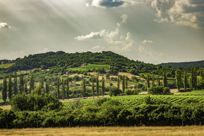View of townscape against sky