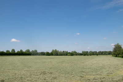 Scenic view of land against sky