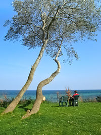 People on field by trees against sky