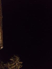 Close-up of tree against sky at night