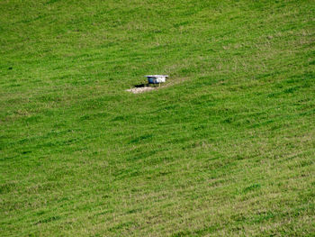 High angle view of grassy field