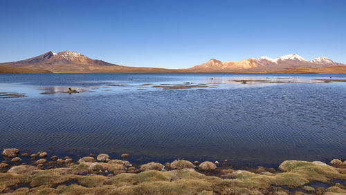 Scenic view of lake against clear blue sky
