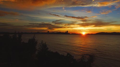 Scenic view of silhouette trees against orange sky