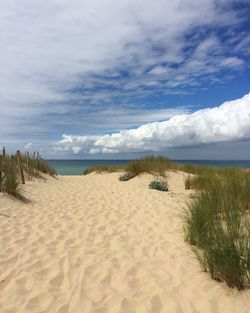 Scenic view of beach against sky