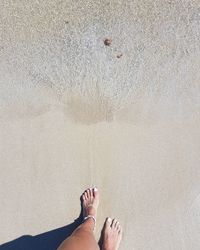 Low section of woman standing on beach