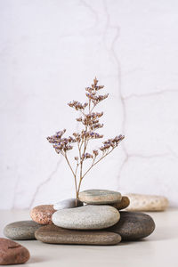 A branch of dried flower stands in a stack of smooth sea stones on the table vertical view