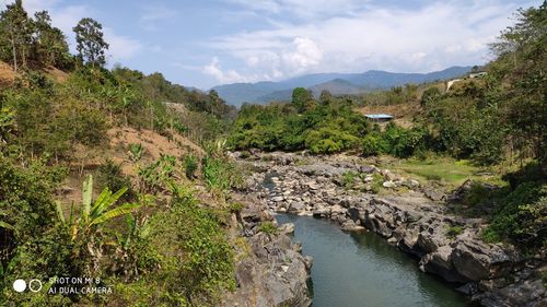 Scenic view of river amidst trees against sky