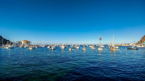 Sailboats in sea against clear blue sky