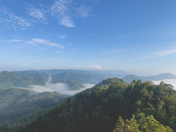 environment
