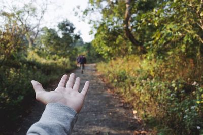 Cropped image of hand gesturing on footpath at forest