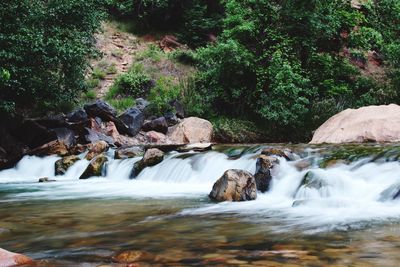 Stream flowing through rocks in forest