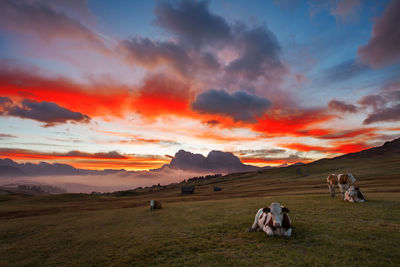 People sitting on field against sky during sunset