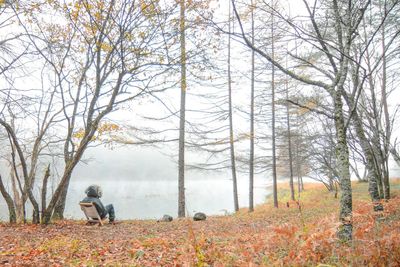 Rear view of man on bare trees in forest during autumn