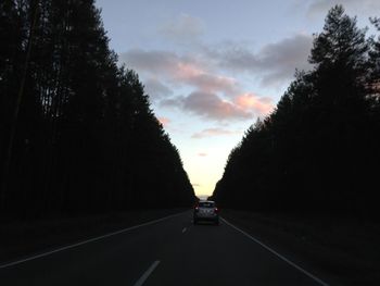 Road passing through trees