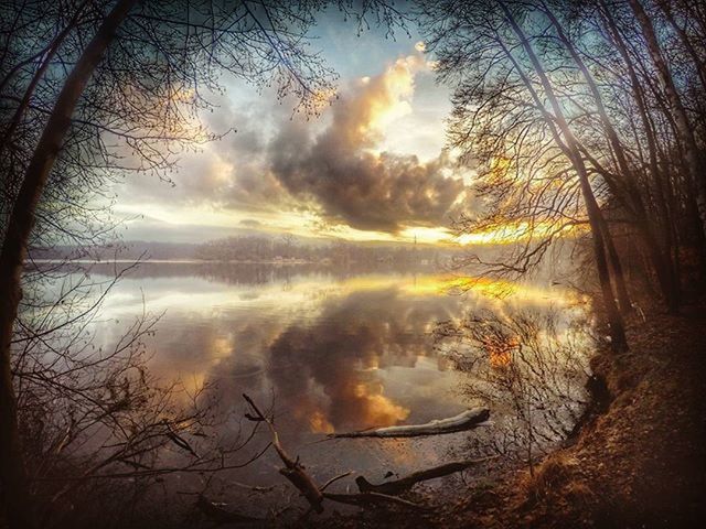 sunset, tranquility, sky, tree, tranquil scene, scenics, water, beauty in nature, bare tree, cloud - sky, silhouette, nature, reflection, lake, branch, idyllic, cloud, cloudy, non-urban scene, sun