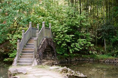 Staircase by trees in forest