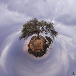 Digital composite image of tree against sky