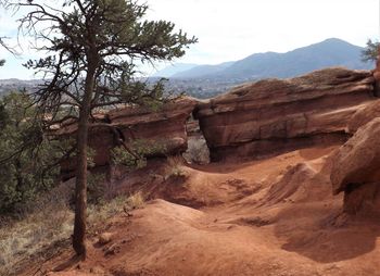 View of a landscape