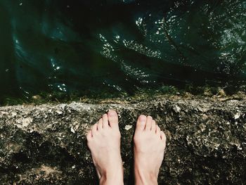 Low section of woman standing on beach