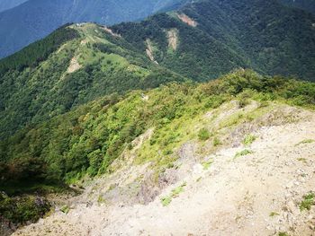 High angle view of trees on mountain