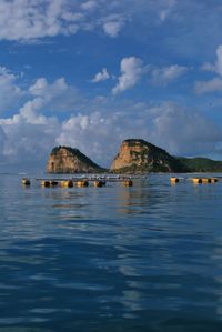 Boats in sea with buildings in background