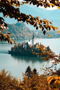 Scenic view of trees by buildings against sky during autumn