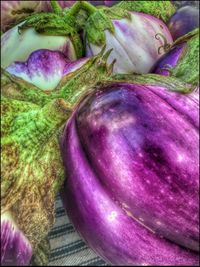 Close up of purple flowers