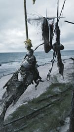 Close-up of driftwood hanging on sea against sky