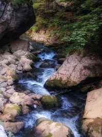 River flowing through rocks in forest