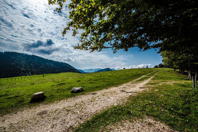 Scenic view of field against sky