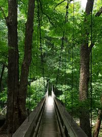 Appalachian trail swinging bridge