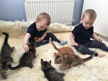 Brothers playing with cats on rug at home