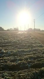 Sun shining over landscape