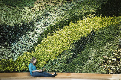 Young woman using laptop in front of green plant wall