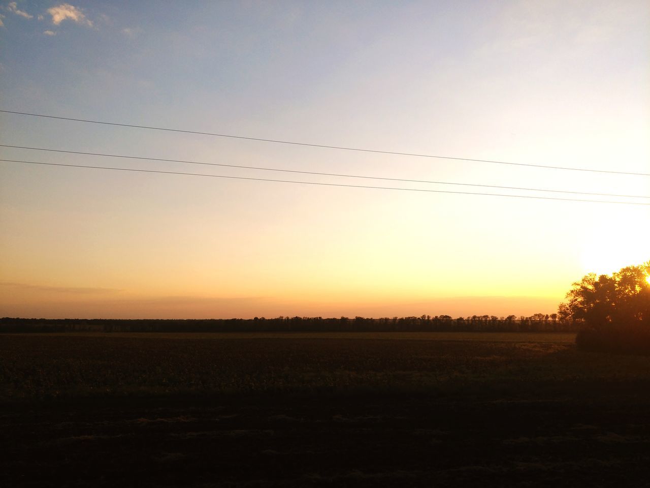 sky, tranquility, scenics - nature, sunset, beauty in nature, tranquil scene, environment, landscape, land, no people, cable, field, nature, silhouette, idyllic, electricity, power line, orange color, outdoors, plant, power supply